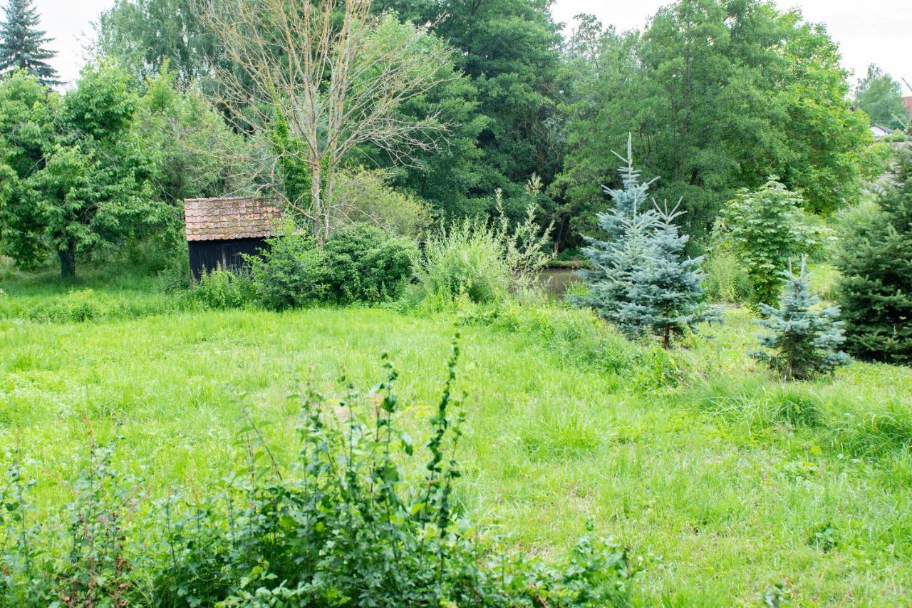 Ferienwohnung Auf Ehemaligen Bauernhof In Der Naehe Von Bamberg Walsdorf  Kültér fotó